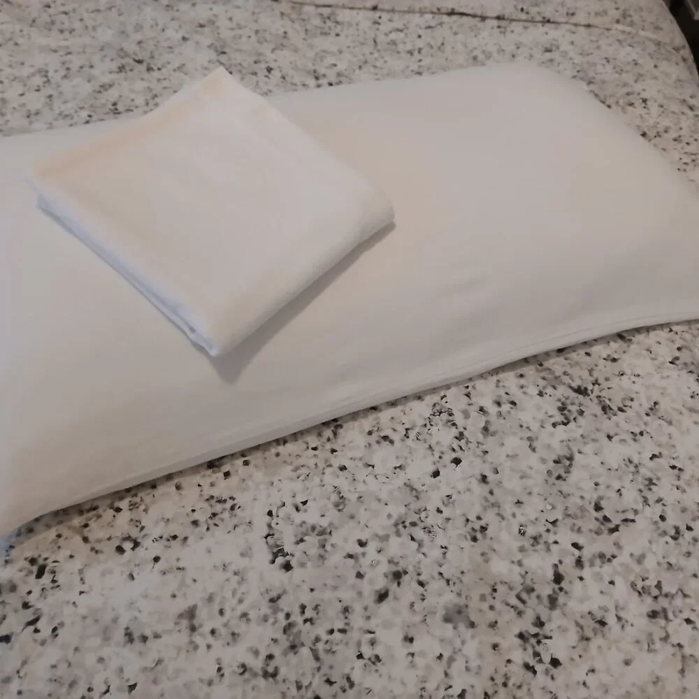 The Company Store - Ivory 100% COTTON FLANNEL King-size Pillowcases (2)